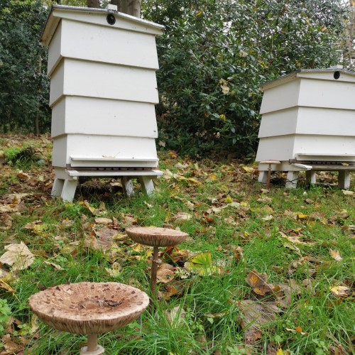 Hives we use