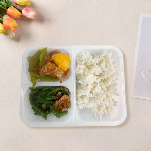 Xinjiang Big Plate Chicken, Stir Fried Green Beans with Rice 大盘鸡，豆角炒肉双拼盒饭