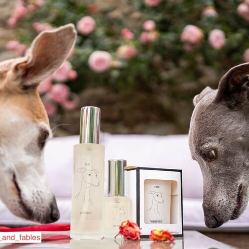 The Whippet Travel Spray