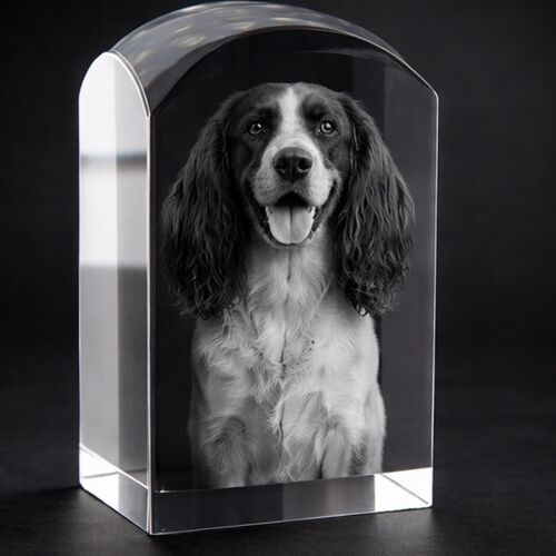 Dunvegan 3D Crystal Prism Dome – 2 Sizes