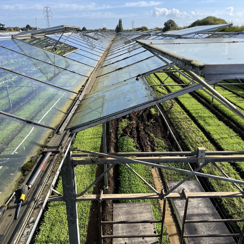 Eureka Growing Systems Ltd | Commercial greenhouse builder England | Greenhouse shade screen installers Scotland | Commercial greenhouse repairs Wales | Commercial greenhouses UK  | Commercial greenhouses repairs UK | Commercial greenhouse shade and energy screens UK