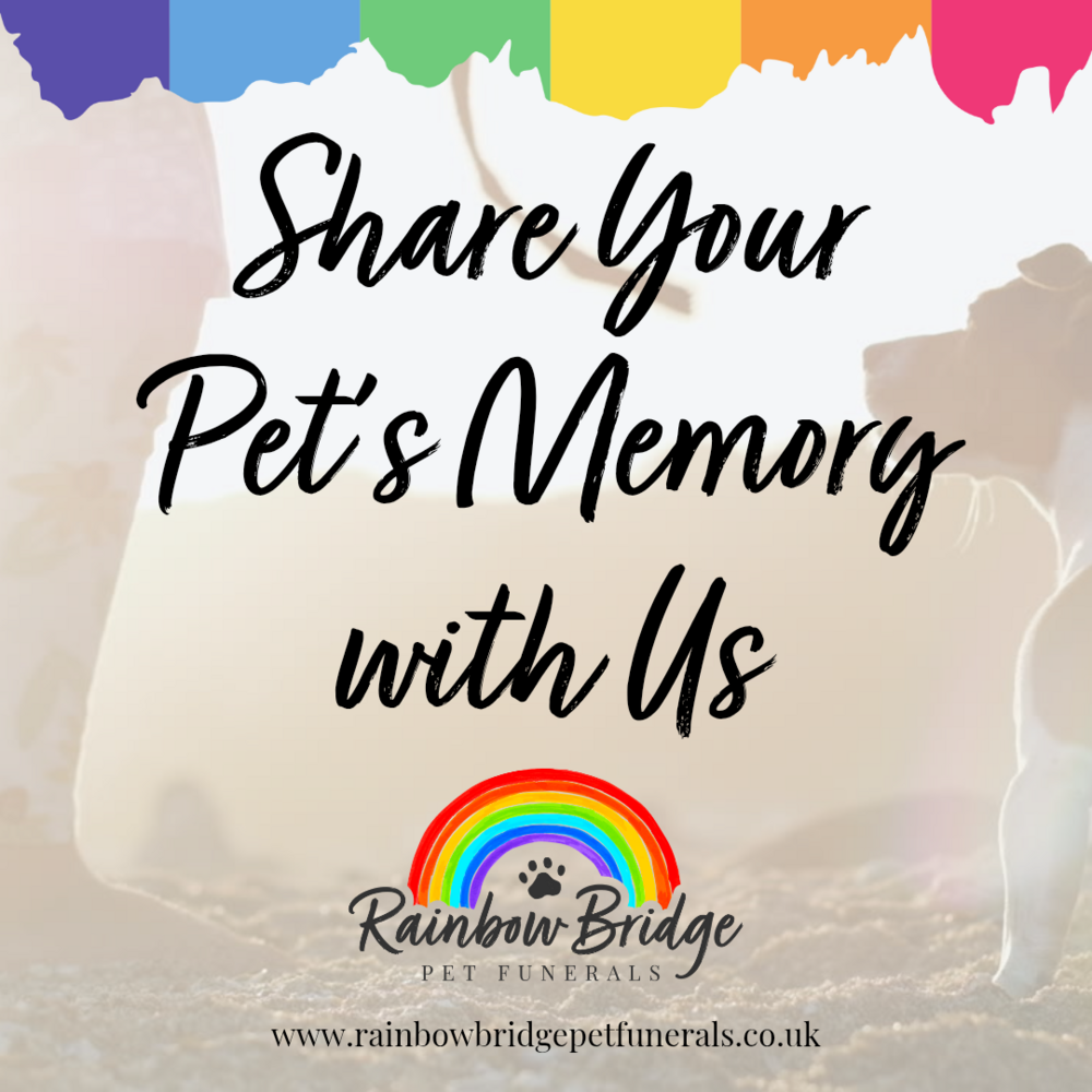 Share Your Pet’s Memory with Us