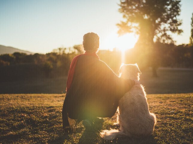 Same Day Cremation | Rainbow Bridge Pet Funeral Services