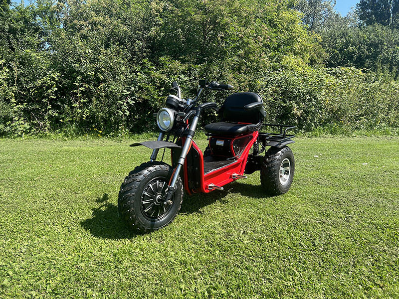 Example Mobility Scooter Product