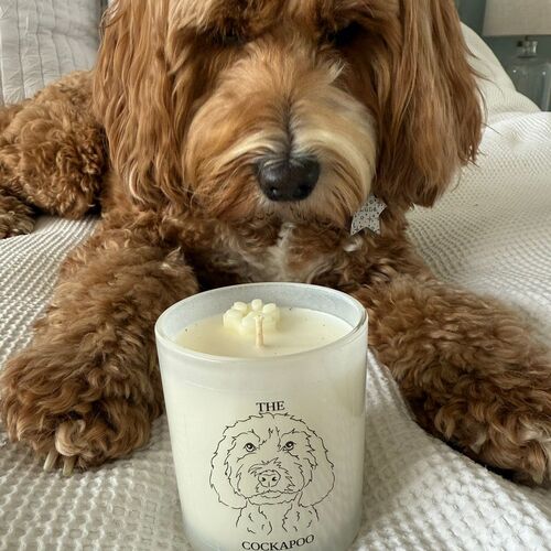 The Cockapoo Candle
