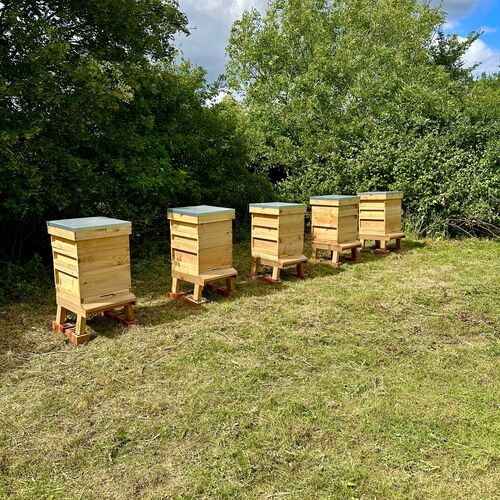 Gallery | East Anglia Apiaries | Raw honey | Local honey | Natural Honey
