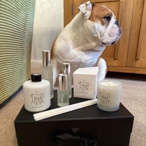 The English Bulldog Candle
