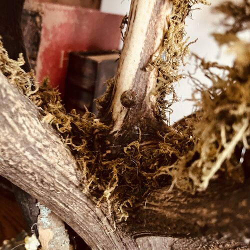 Large 5 Branch Antler Lamp Copy