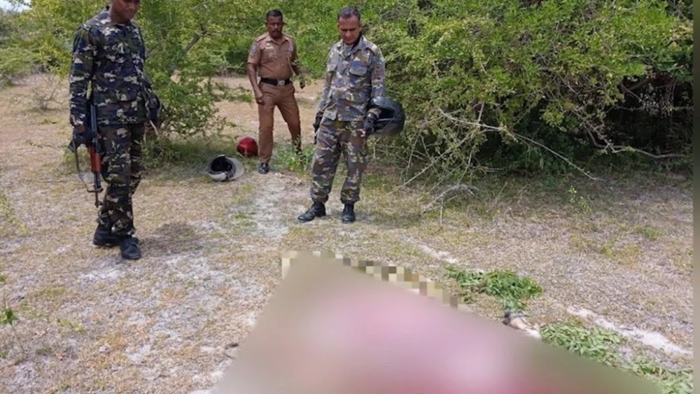 புங்குடுதீவில் பசுக்களை சட்டவிரோதமாக இறைச்சியாக்கும் செயல்பாடு அதிகரிப்பு