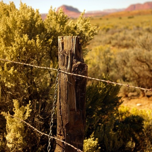 How do boundary surveys help resolve property disputes?