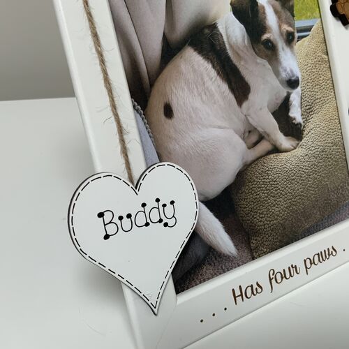 My best friend has four paws photo frame