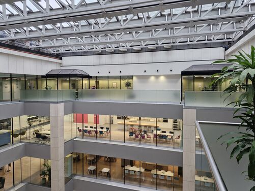 Window Film Image Gallery