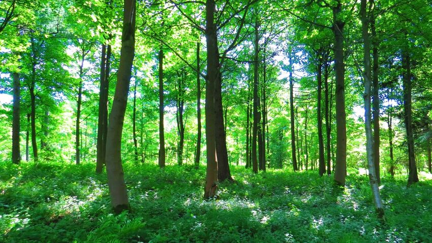 Lasting Power Of Attorney Isle of Wight