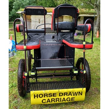 Pleasure vehicle  (1025533)