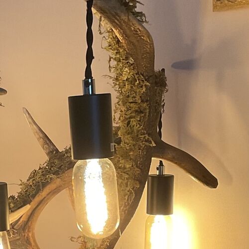 Large 5 Branch Antler Lamp Copy