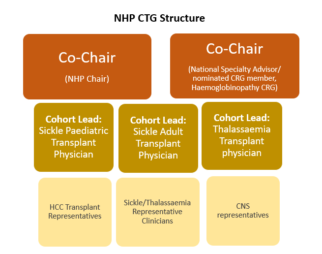 NHP Cellular Therapy Operational Group (CTG) 