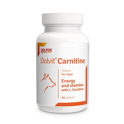 Dolvit Carnitine