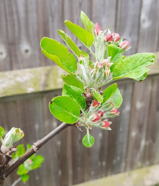 Mother earth tilts to kiss the face of brother sun. 