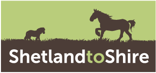 Shetland to Shire