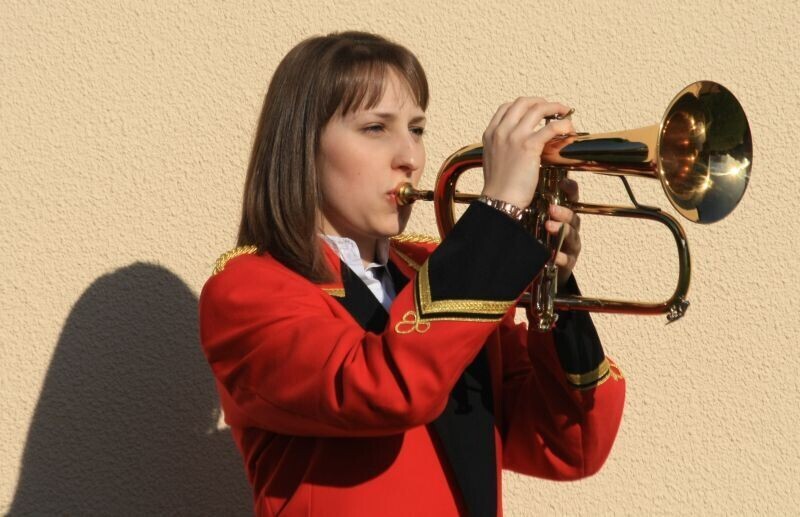 Brassed Off  April 2012