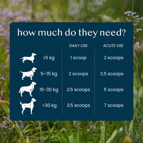 Fettle Calming Powder