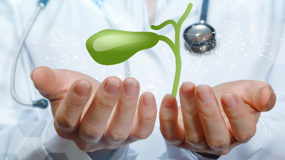 Struggling to Digest Fats? These 4 Hormones Might Be to Blame