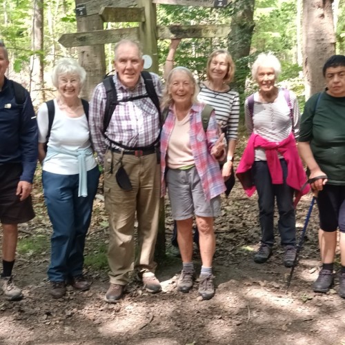 Hurst Green to Westerham, Sunday 1st June