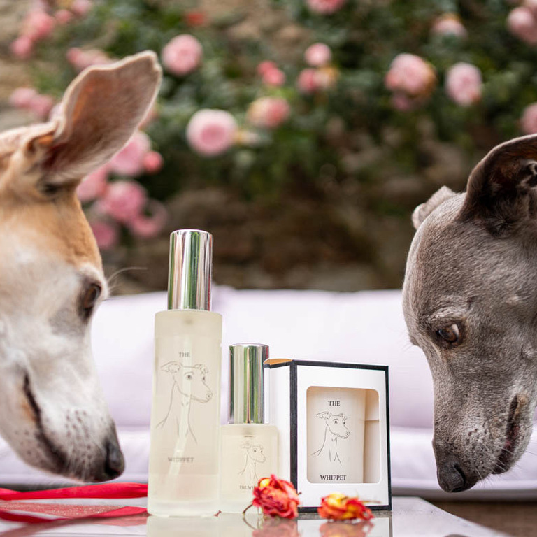 Dog Safe Candles