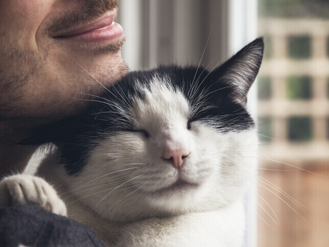 Dedicate A Tree | Rainbow Bridge Pet Funeral Services
