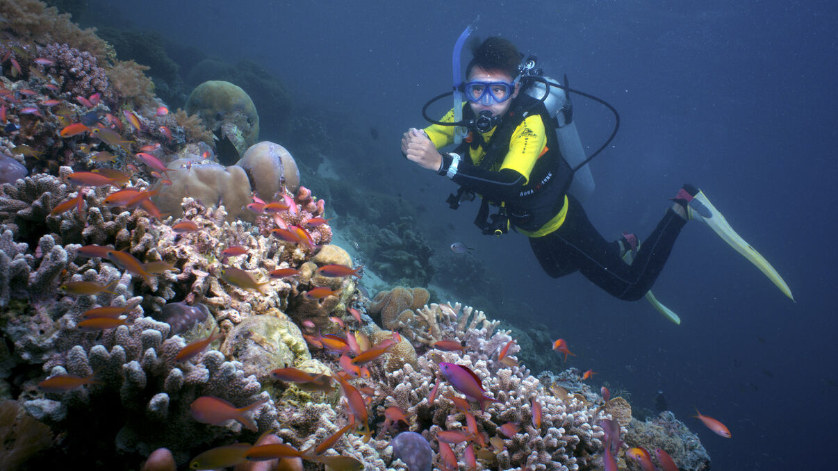 Sabah (Borneo)