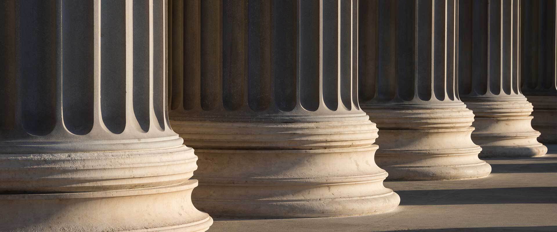 Constitutional Framework | FOS Litigation Group