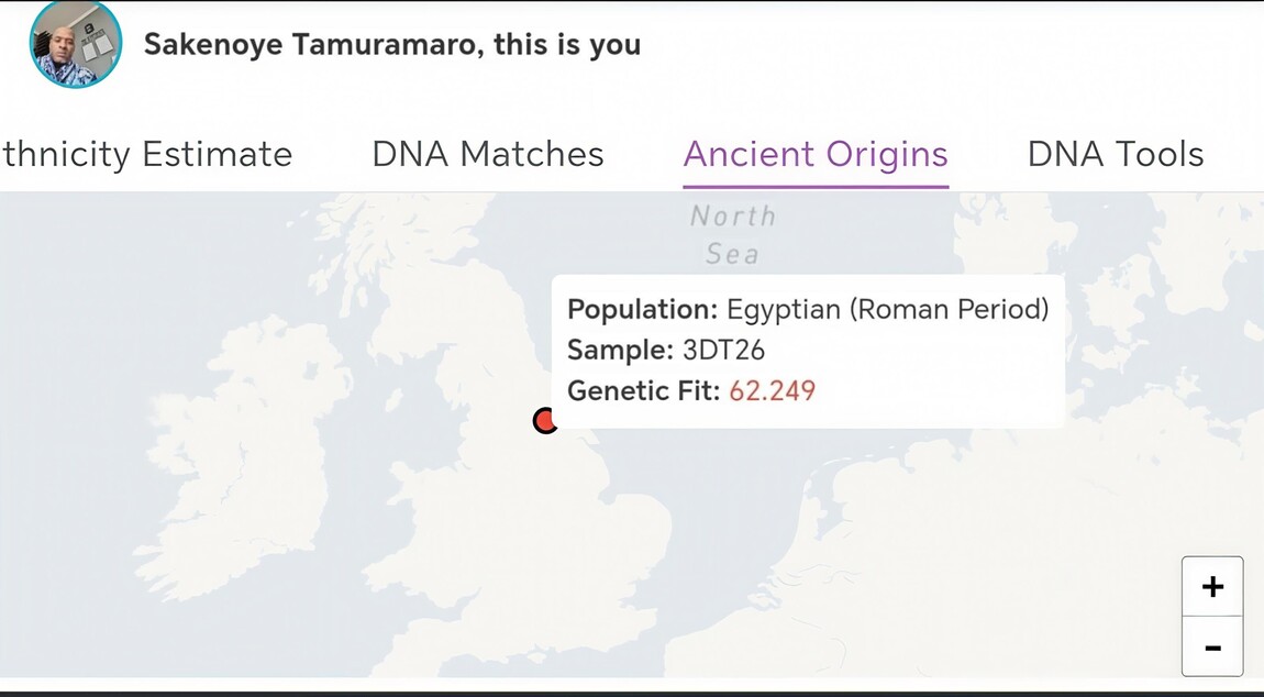 The Blue Ivory Bangle Lady