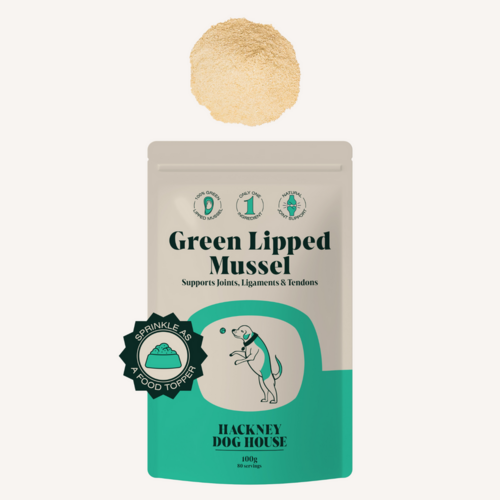 Green Lipped Mussel Powder