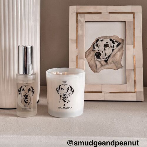 The Dalmatian Candle