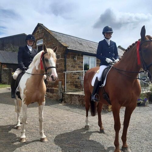 SUMMER EVENTS | Brampton Stables LLP | Riding Lessons in Church Brampton | Horse Riding all ages near Althorp Estate | Learn to Ride near Northampton