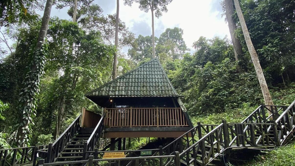 My Nature Resort - Sepilok