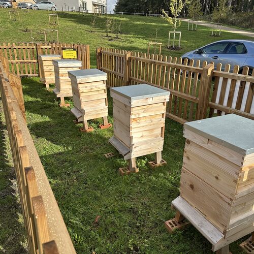 Gallery | East Anglia Apiaries | Raw honey | Local honey | Natural Honey
