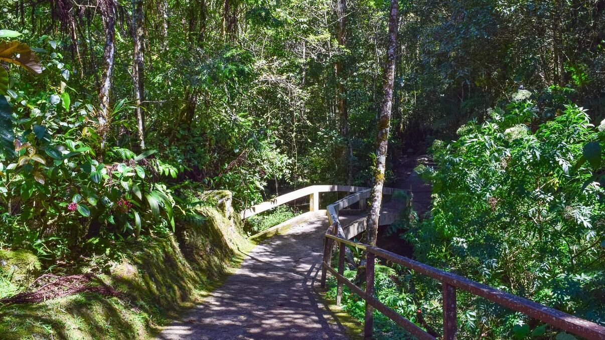Hill Lodges - Kinabalu National Park