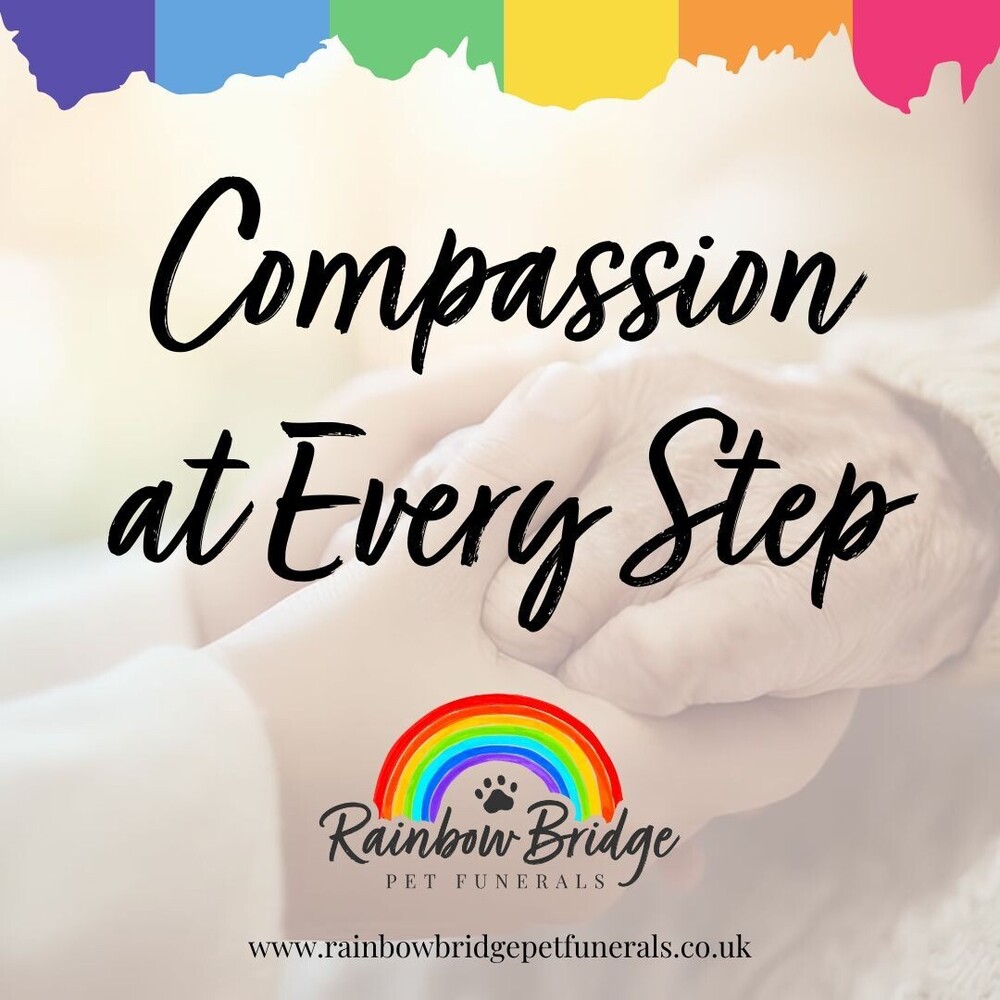Compassion at Every Step | Rainbow Bridge Pet Funeral Services