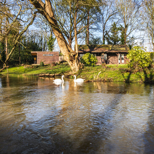 Little Tolpitts Lane, Watford WD18 9QG