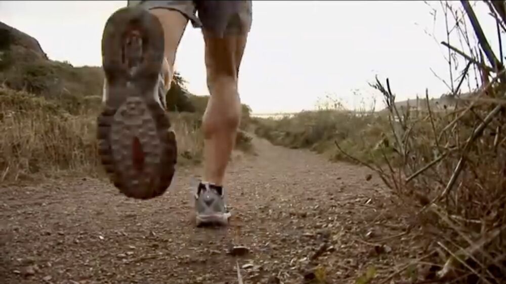 Mastering Your Metrics: A Step-by-Step Guide to Finding Your Aerobic Efficiency