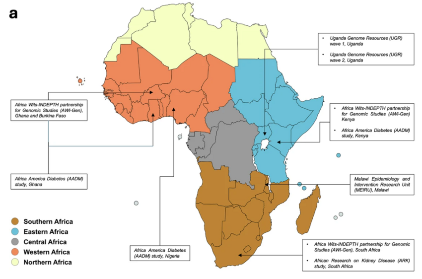 Largest genomic study of kidney function in Africa reveals new genetic risk factors