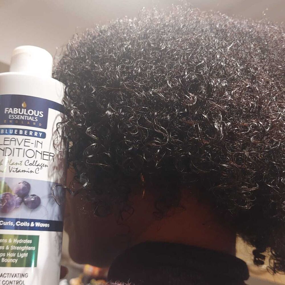 Blueberry Leave-In Conditioner