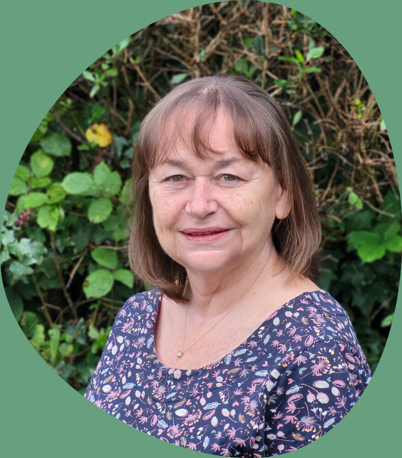 Sue Rees Counselling about image