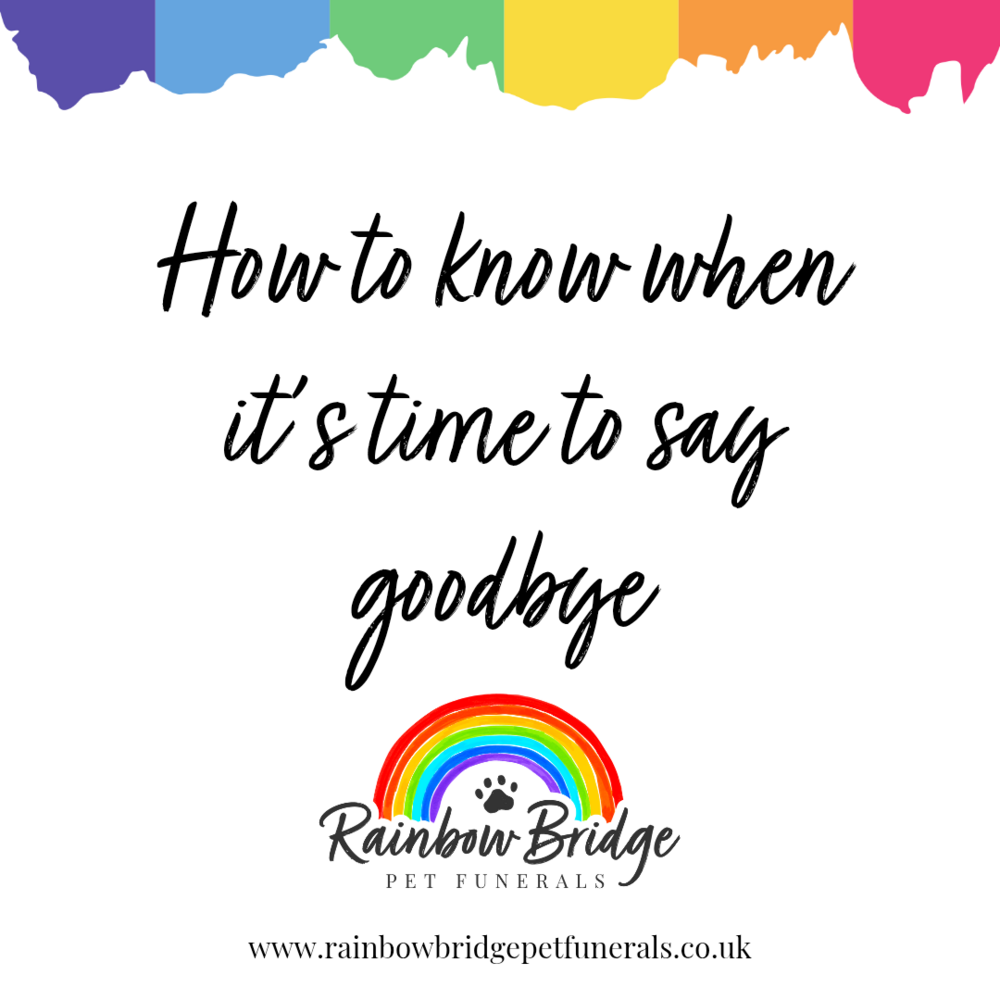 How To Know When It's Time To Say Goodbye | Rainbow Bridge Pet Funeral Services