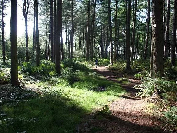 Nearby Walks | Holidayhouseludlow.co.uk