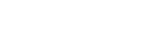Brixham Dog Training