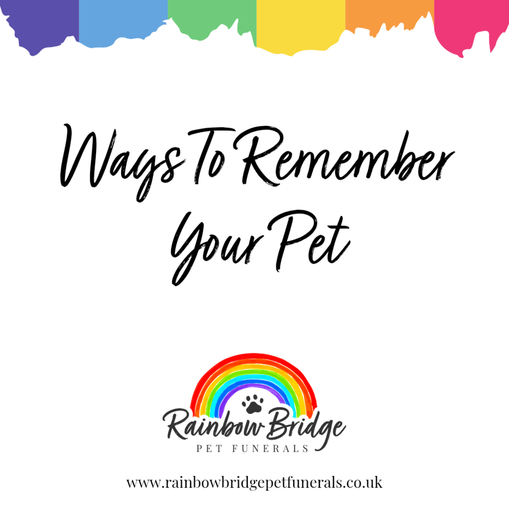 Ways to Remember Your Pet | Rainbow Bridge Pet Funeral Services