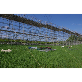 Temporary anchors with easy installation and 100% removal 