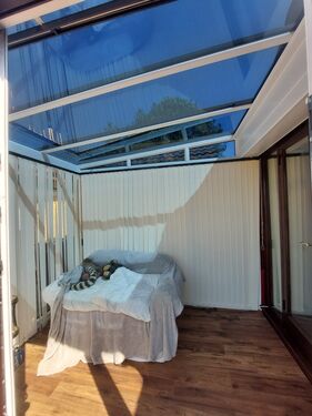 Window Film Image Gallery